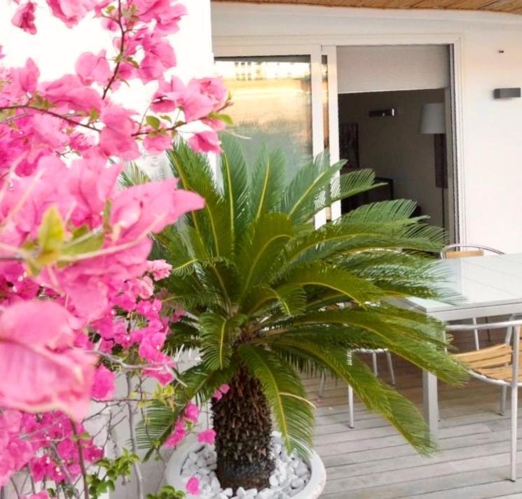 B&B Interno 3 บารี ภายนอก รูปภาพ